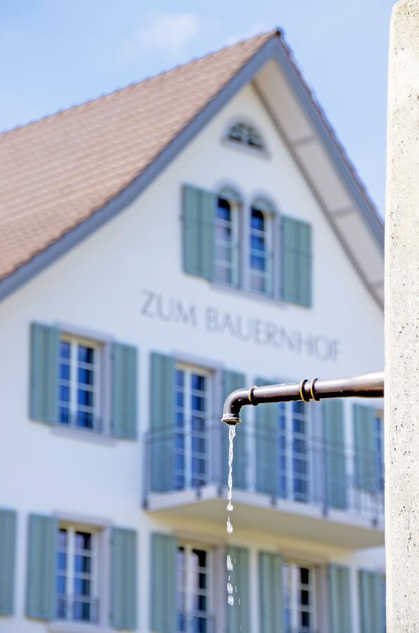 Gasthaus Zum Bauernhof Oberlunkhofen Eksteriør billede