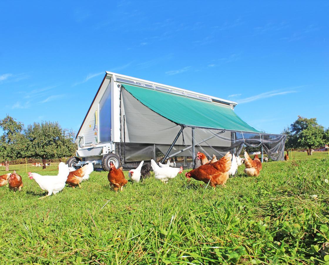 Gasthaus Zum Bauernhof Oberlunkhofen Eksteriør billede